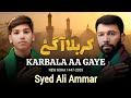 Karbala Aa Gaey Ali Ammar Muharram 2025 1447 Nohay2025 Karbala