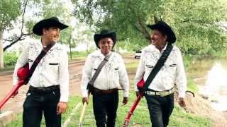 Los Compadres De Sinaloa Vuelve...Regresa Ya Dir. Carlos Rodriguez