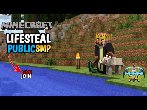 Minecraft Live - Insane 24/7 Public SMP Gameplay!