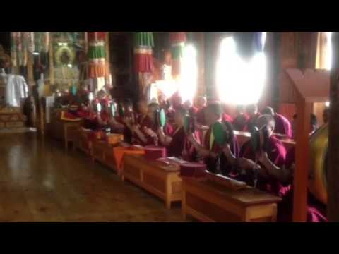 Sonada choe to Lama karta.