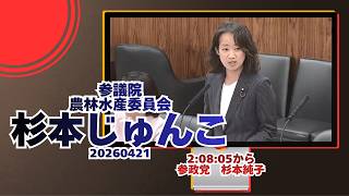 2:08:05から参政党【杉本じゅんこ】【杉本純子】🍊参議院農林水産委員会🍊20260421　#参政党 #杉本じゅんこ