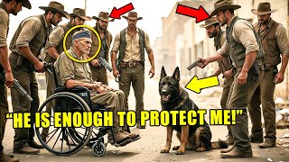 Wheelchair-Bound Veteran Surrounded By Outlaws, Until His Old K9 Partner Shows His Combat Training