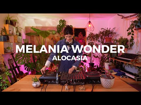 Alocasia TV Santiago - Melania Wonder [Dj Set] #deephouse #indiedance #chicagohouse