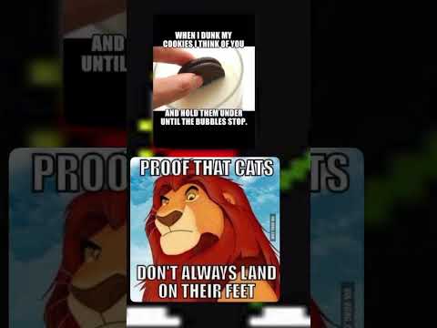 Why? #funny #memes #lion #king #animals #oreo #cats #dank