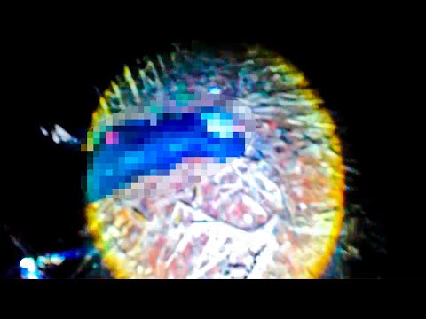 O OBSESSOR MORR3U ??? COMO TUDO ACONTECEU COM A 12 DO RENATO !!!