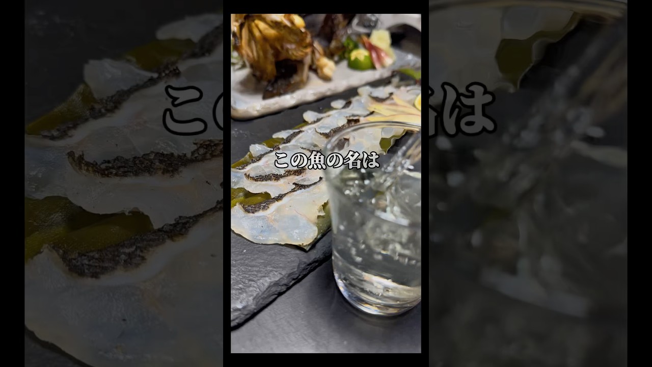 【タケノコメバルさん】昆布締め、一夜干しで最高すぎた🤤#魚 #料理 #asmr #釣り#shorts