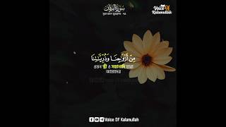 Download lagu Surah Al Furqan | Verse - 74 | Bangla Subtitle | Holy Quran Recitation | Voice of kalamullah | Ayat mp3