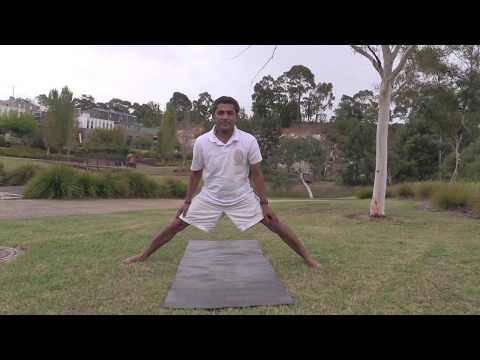 Kukkutasana: Rooster Pose:Type 3