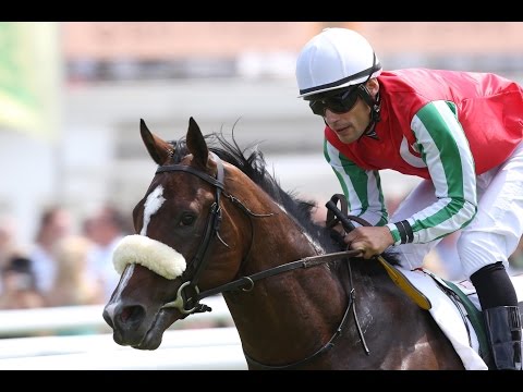 Hamburg: Almased-Vital-Rennen (D) - Sieger: Dashing Home