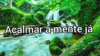 Música para relaxar e meditar/ acalme a mente já/ alivio do estresse.