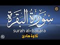 سورة البقرة 💕 رزق وبركة من حيث لاتحتسب | تلاوة خاشعة💙 Surah Al Waqiah