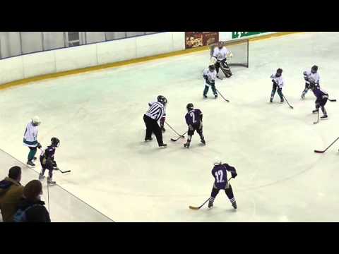 U12_76 UTE B - White Sharks HC