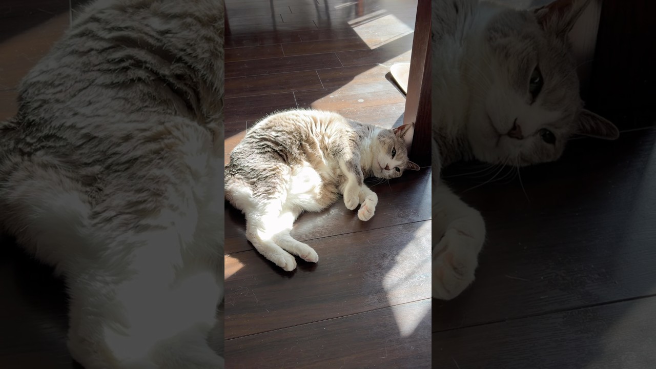 ぽかぽかなモアクリ♨️ #モアクリ