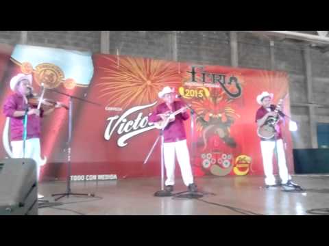 TRIO LOS CAIMANES DE TAMUIN  PRESENTES EN LA FENAPO 2015