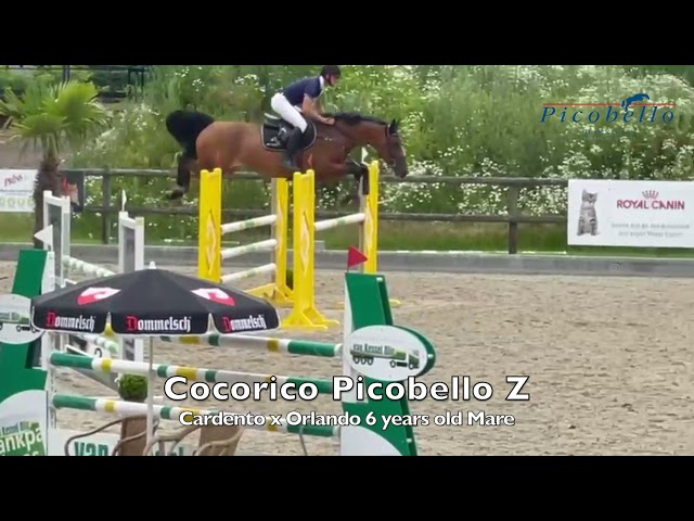 Cocorico Picobello