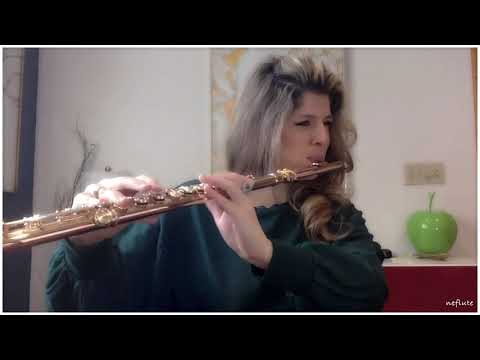 E. Köhler Flute Etudes Op. 33 Book 1 #2