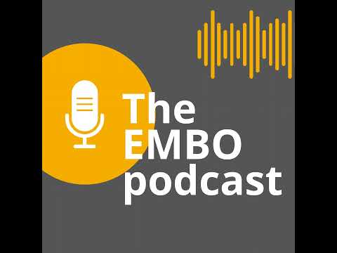 “A steppingstone to an Open Science future”: EMBO Press moves to full Open Access