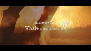 [MV] 웨일(Whale) _ 승리의 노래 (Nameless Star) (Teaser)