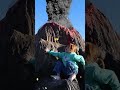 VOLCANO UNiCORN RESCUE!! Adley's first day at Unicorn Academy! Magical surprise escape #shorts