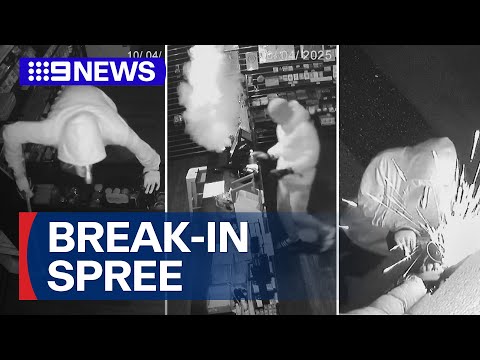 Dramatic footage of crime spree spanning 17 suburbs | 9 News Australia