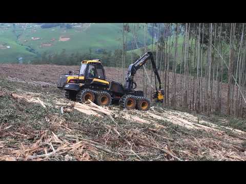 Ponsse Ergo in the Midlands, South Africa