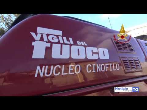 2021-01-14 PRATO - ADDESTRAMENTO CANI TRA LE MACERIE DELL'EX OSPEDALE