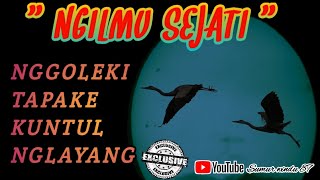 Download lagu Ngilmu Jawa Roso sejati nggoleki tapake kuntul nglayang mp3