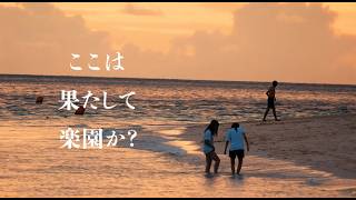 映画『私がまだ知らない沖縄』予告編