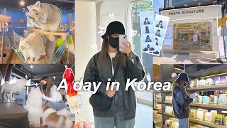Spend a day in korea with me 🦝☁️ raccoon/meerkat cafe, photo booths, tanghulu + book stores