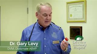 Pet Safety - Tylenol can be dangerous for your pets