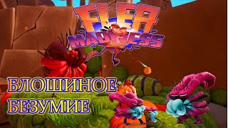 flea madness | flea madness gameplay ( Блошиное Безумие )