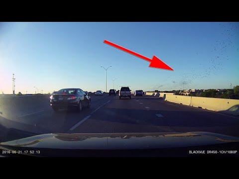 Bats Emerging Under Interstate 35 Bridge/Overpass at McNeil Rd in Round Rock | Dashcam Footage