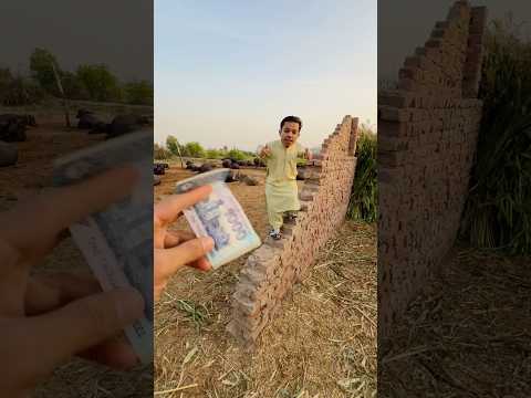 Catch Cow For 1000 RS |