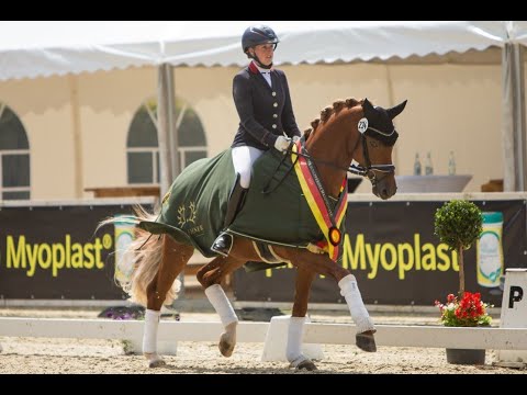 Equitop Myoplast Trakehner Reitpferdechampionate 2020