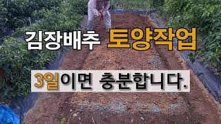 김장 배추 토양 작업 3일이면 충분 합니다. #주말 농장 김장 배추 가꾸기 #김장 밭 준비하기 # 토양 작업…