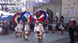 preview picture of video 'danza de la pluma de san pablo guila (ptoó dáán)'