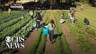 In the shadow of Austin, Texas, a small farm looms large