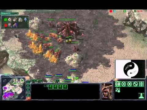 CheckPrime vs HongUnPrime