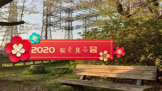 2020 今年の お花見【桜を見る会 Ver.solo】
