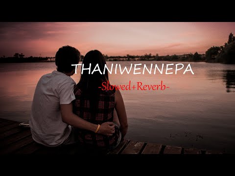 Thaniwennepa (තනිවෙනෙපා මෙසේ) | Slowed+Reverb