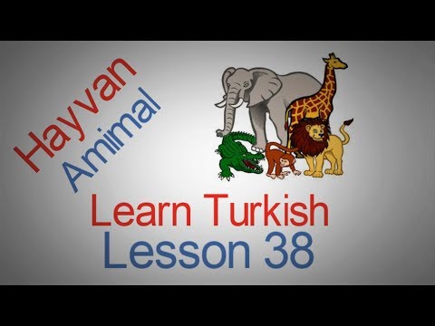 Learn Turkish Lesson 38 - Animals (Hayvanlar)