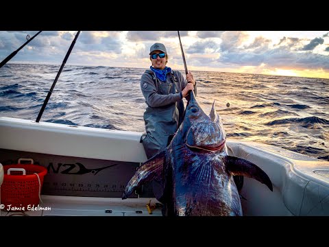 *GIANT* SUNSET SWORDFISH - Last big fish of 2020!