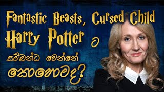 Fantastic Beasts Harry Potter and Cursed Child ක