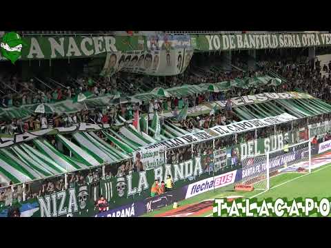 "El Sur esta de fiesta...F08 Vs Aldosivi" Barra: La Banda del Sur &bull; Club: Banfield &bull; País: Argentina