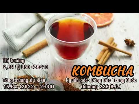 Equipe Cascara Kombucha sẵn sàng tham dự vòng chung kết Cuộc thi Euréka lần thứ XXV