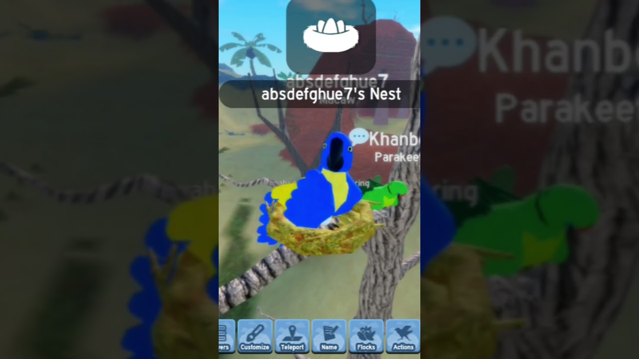 parrot and maco 🦜🦜🦜