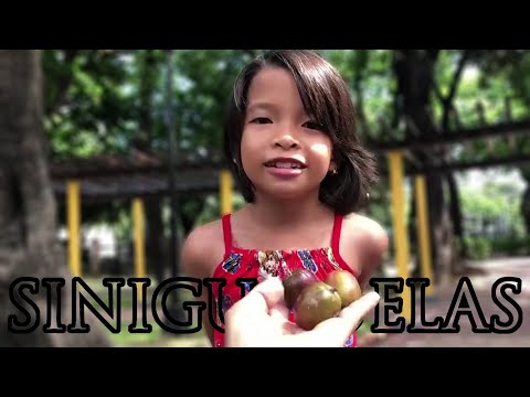 Siniguelas "Spanish Plum" Fruit-Giving | Have You Tried & Can You Name It | The Everett's Academe