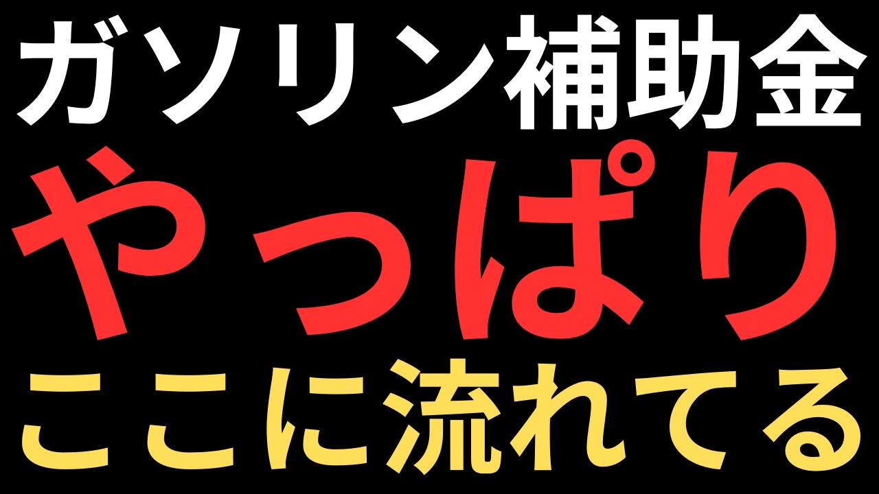 99.999％の日本人が初めて見る資料がこれです