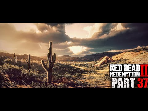 Owl Hoot Trail - Red Dead Redemption 2 - Part 37 - 4K