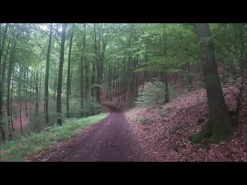 Wandern in Lippe: #26 | Piepenkopf & Amelungsburg